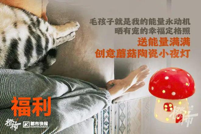 几分钟？橙柿请你挑战自我k8凯发入口爬60层楼要(图5)