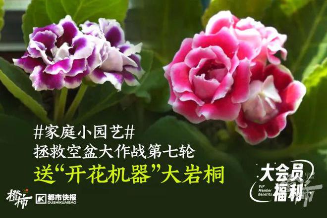 几分钟？橙柿请你挑战自我k8凯发入口爬60层楼要(图12)