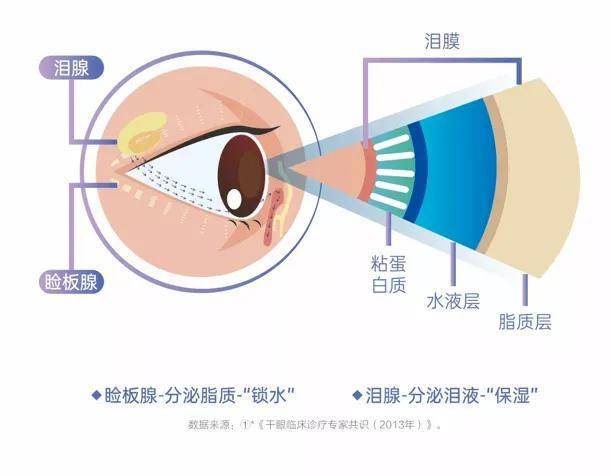 热敷or冷敷不要随便折腾你的眼睛啦k8凯发一触即发湖北普瑞眼科医院