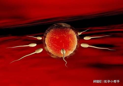 及孕期需要注意什么呢？-优孕行凯发k8国际厅登录高龄女性备孕